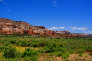 long term care new mexico